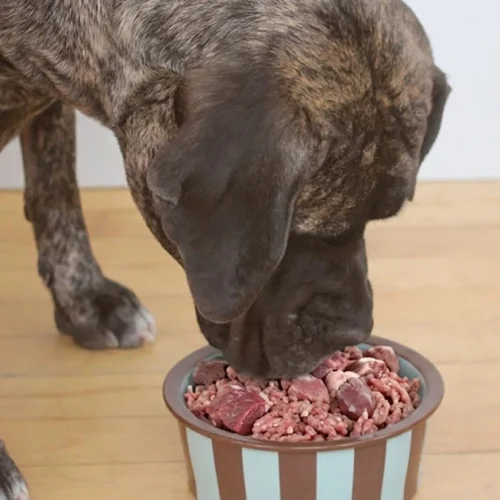 Raw Feeding Made Simple